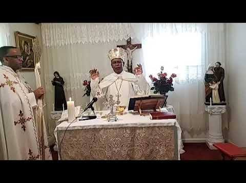Bishop celebrating Mass at the altar